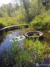 Moat in the Spring