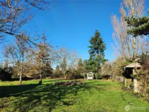 View of the backyard from the ride side access to the yard. Mature nut and fruit trees. Partially fenced.