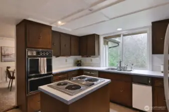 You would never believe that some of these appliances are original!  So well cared-for and in great working condition!