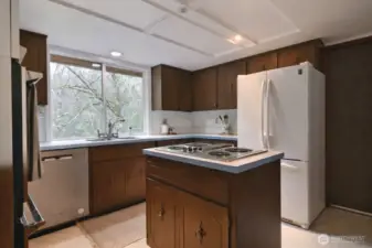 Island kitchen is efficient and features lots of counter space.  Fridge and dishwasher are newer.
