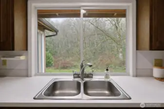 Such a peaceful back yard to enjoy while doing dishes.