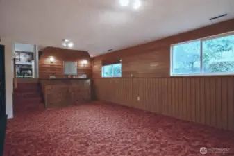Groovy rec room on lower level!
