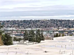 View of the Ballard Bridge