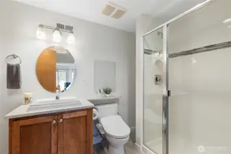 Lower level guest bath