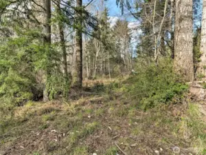 Nice, flat, usable land.