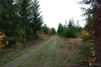 All pictures are representative of Timber  Ridge Tracts and not specific to each lot.