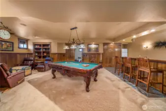 MASSIVE LOWER LEVEL ENTERTAINMENT SETUP