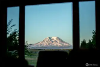 VIEWS FROM THE KITCHEN WINDOW