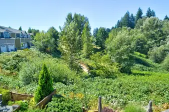 Trail goes from Magnolia Drive's cul de sac to the Olympia Kettle Park