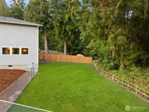 Side Yard