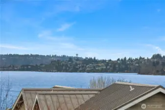 Views of Lake, Mnts, Space Needle