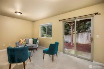 Lower level living area