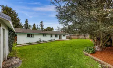 Great fully fenced backyard for all the summertime fun