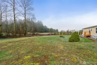 Side yard