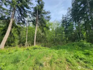 Cleared build site