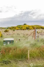 Power Meter and South Property Line
