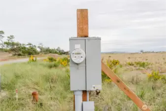 Rare Power Meter Installed at the South Property Line