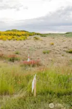 North Property Line Marker