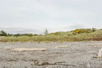 View of the Beach from the Subject Property