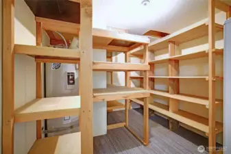 Downstairs closet with built in storage