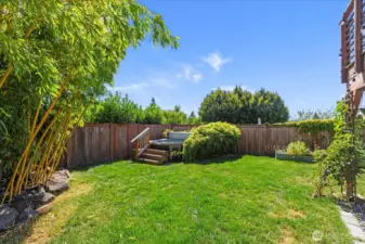 Large sunny Southwest facing backyard.