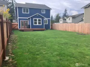 updated backyard pictures, grass filled in now