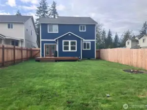 updated backyard pictures, grass filled in now