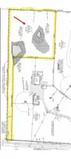 Survey Map