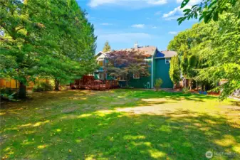 LARGE, level backyard