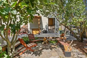 Firepit zone w/ fig tree and entry to the basement in the background.
