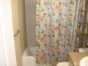 Another of Bathroom #1