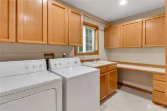 Large utility room with lots of cabinets and shelving to help keep the space neat