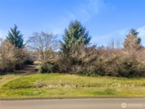 Street view of property