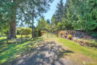 Red flags and line are placed by seller and demonstrate an understanding of property boundaries. Not an official survey.