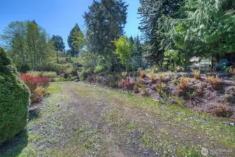 The fence at the right is not the property line. The property extends into and includes the area on the right side of the fence where ferns are planted.