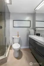 Sleek spa-like shower in the main bathroom.
