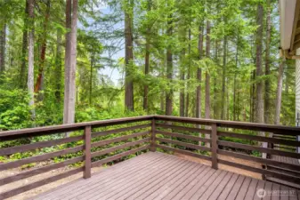 Back deck