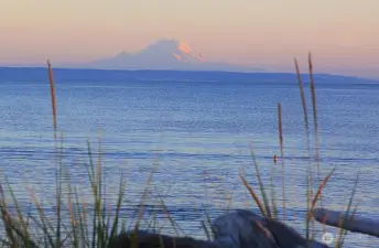 Crystal blue waters and pink Mount Rainer. WOW!