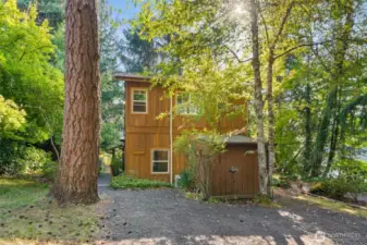 Perfectly placed among the trees.
