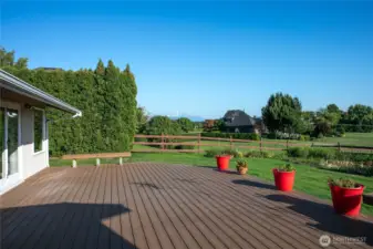 The large back deck with a view of Mt. Baker is great for outdoor entertaining.