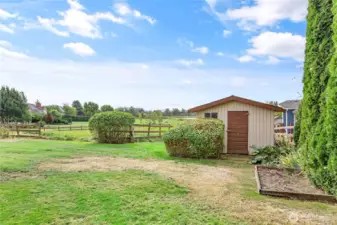 There is a garden shed and plenty of room to extend the backyard.