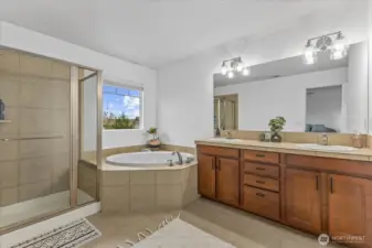 Primary Bathroom - Tub, Shower, Double Sinks, toilet closet an attached large walk-in closet to the right