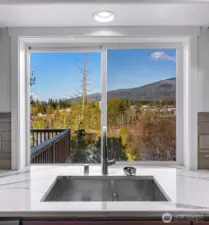 Pond view out kitchen window