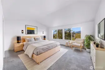 virtually staged primary