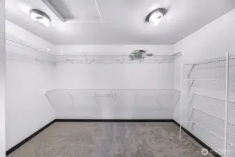 Huge walk in closet with new carpet
