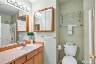 Guest bathroom