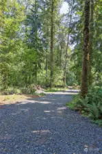 The driveway gently winds through the lush forested property.