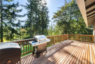 Large Deck Overlooking the Huge Yard