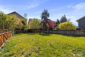 Look at this glorious backyard!