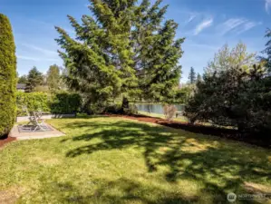 Shot from the neighbor's yard and the view! On the other side of the bark in this photo is the property line and where the HOA maintains the grass and trails.